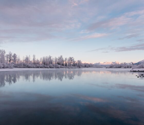 A picture of a lake in winter, with a forest in the back ground, at dusk.