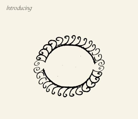 A hand drawn illustration in black ink showing a circle with small petals on the outside